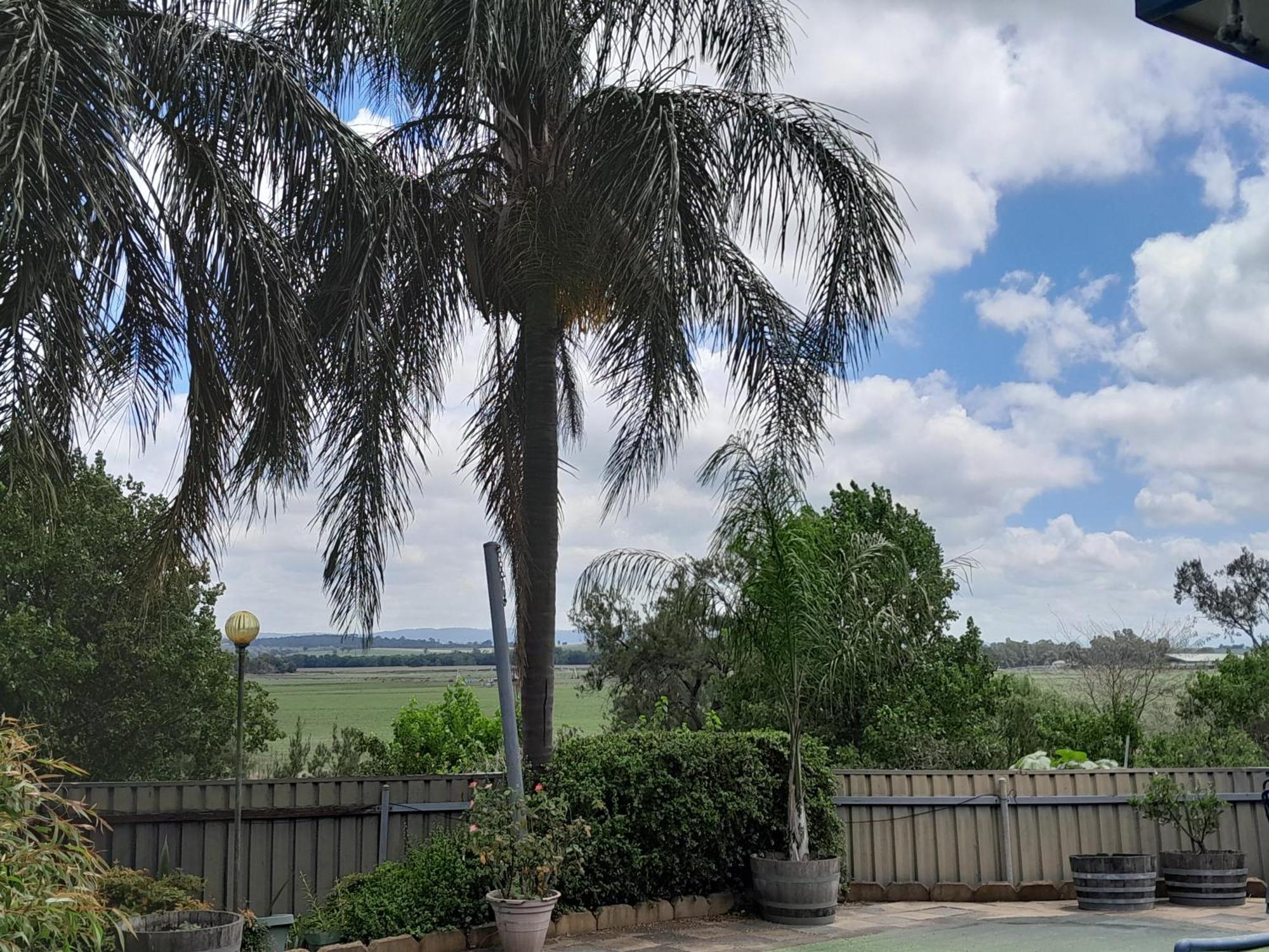 Muswellbrook Northside Bed & Breakfast מראה חיצוני תמונה