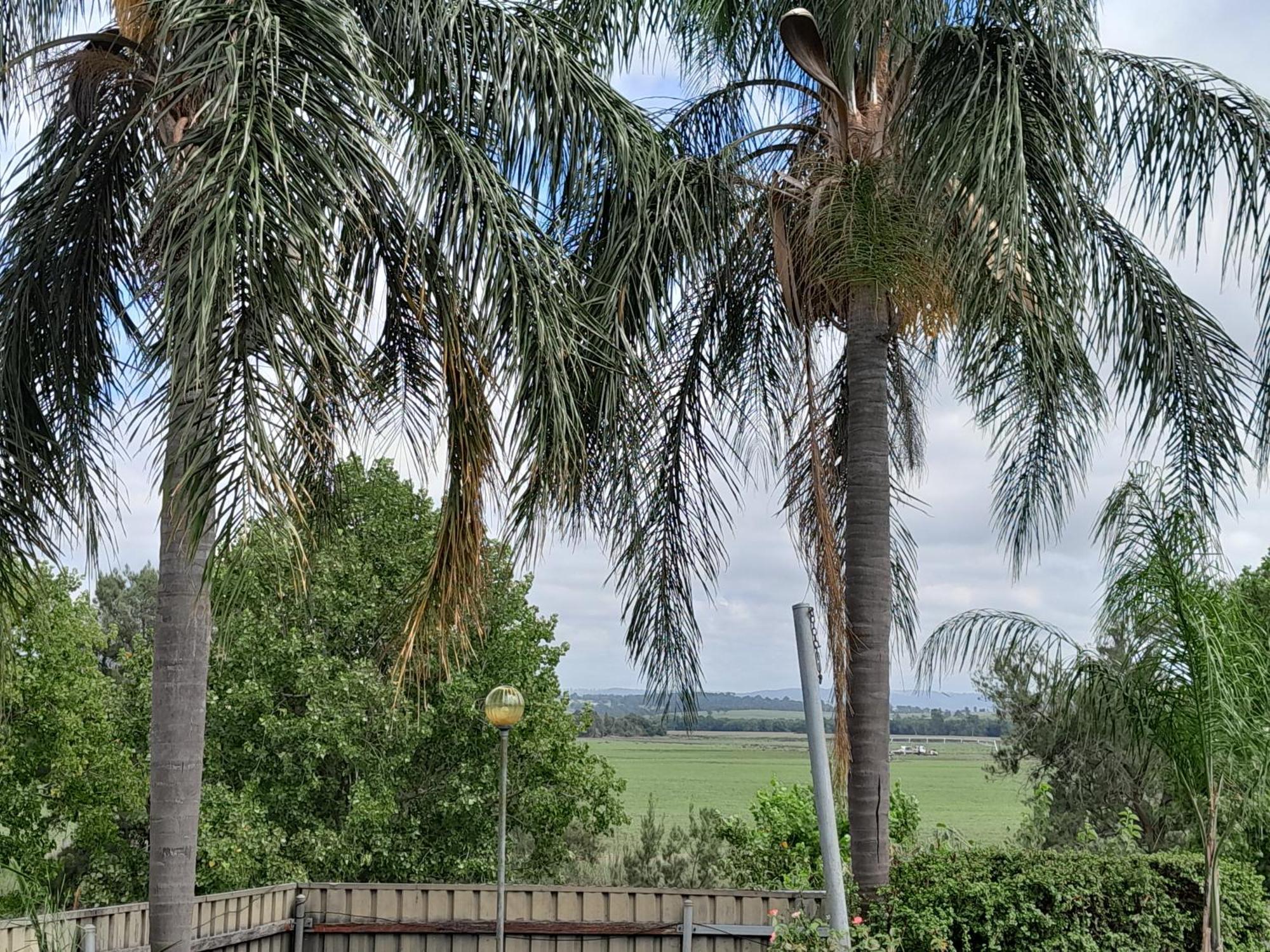 Muswellbrook Northside Bed & Breakfast מראה חיצוני תמונה