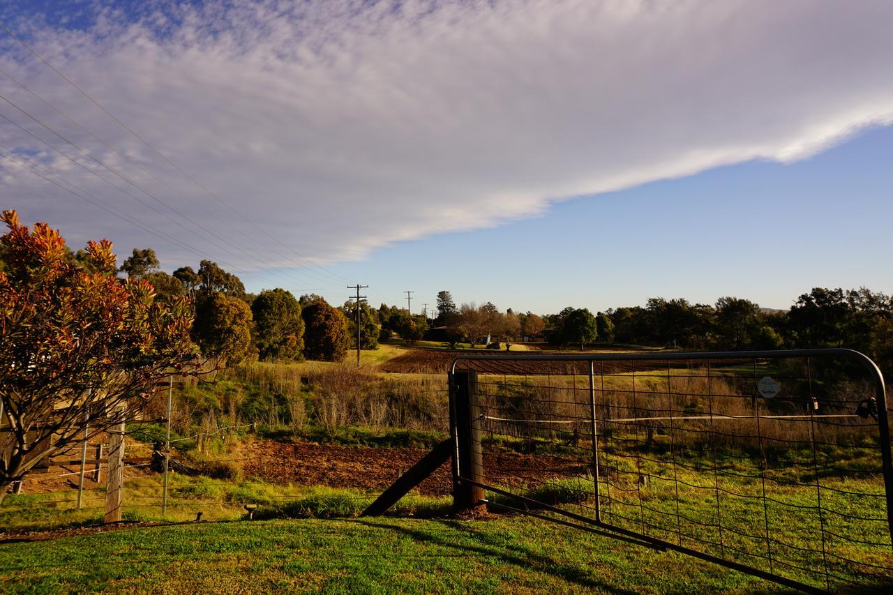 Muswellbrook Northside Bed & Breakfast מראה חיצוני תמונה